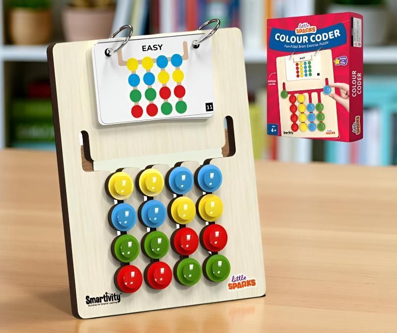 Montessori Colour Coder Puzzle Game